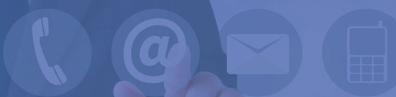 Contactanos